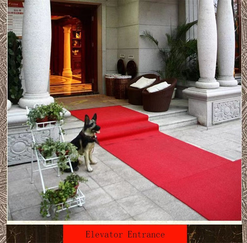 PVC Anti-Slip Mat Entrance Door Floor Mat Waterproof Non-Slip Rubber Bottom Carpet Outdoor Stair Walkway Dust Removal Floor Mat