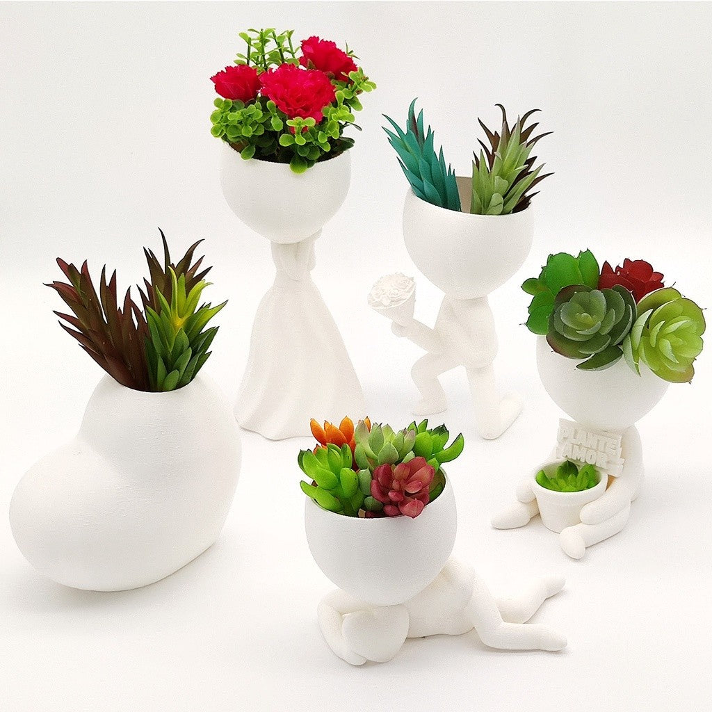 Vaso Suculenta Robert Plant Bob - Kit Com 5 Vasos Suculentas - KIT 3 - EXCLUSIVO
