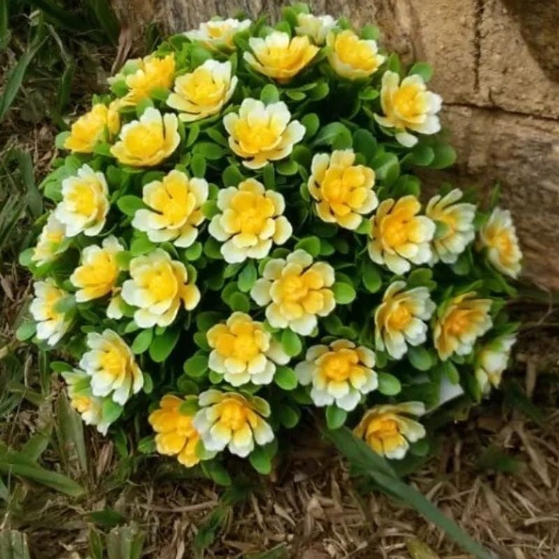 Vaso Grego e Bucho Flores, Artificial Amarelo, Festas, House, Casa