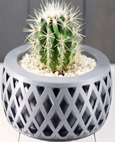 Vaso Decorativo para Cactus e Suculentas Cor: Cinza