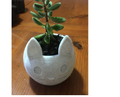Vaso para suculenta flores formato gato lindo cor:branco