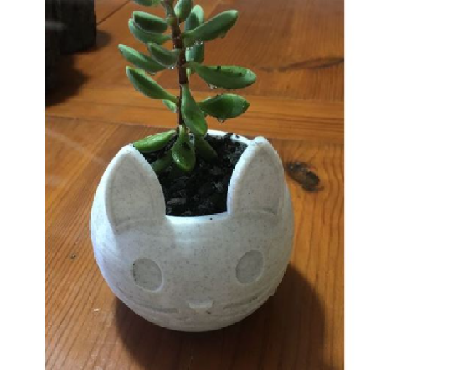 Vaso para suculenta flores formato gato lindo cor:branco